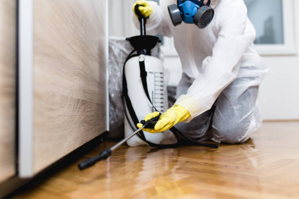 Best Cockroach Control Services  in Fruitland, MD