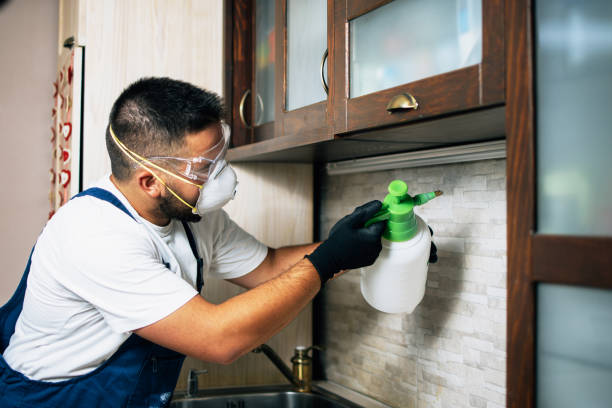 Best Mosquito Control Services  in Fruitland, MD