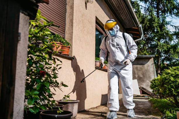 Best Rat Extermination Near Me  in Fruitland, MD
