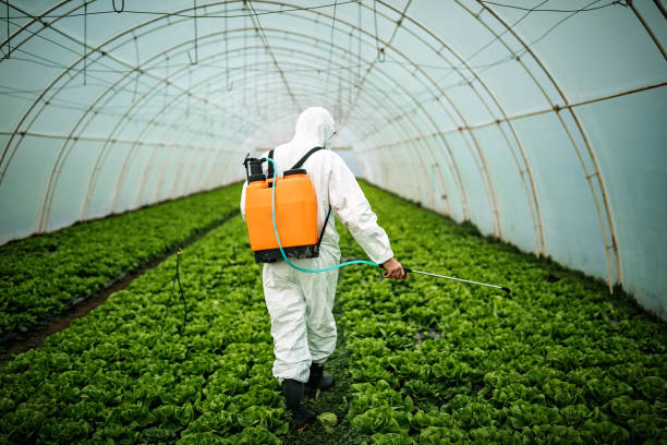 Best Mosquito Control Services  in Fruitland, MD