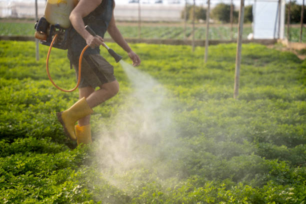Best Affordable Pest Control Services  in Fruitland, MD