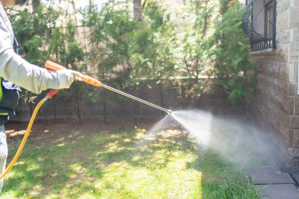 Best Pest Control for Restaurants  in Fruitland, MD