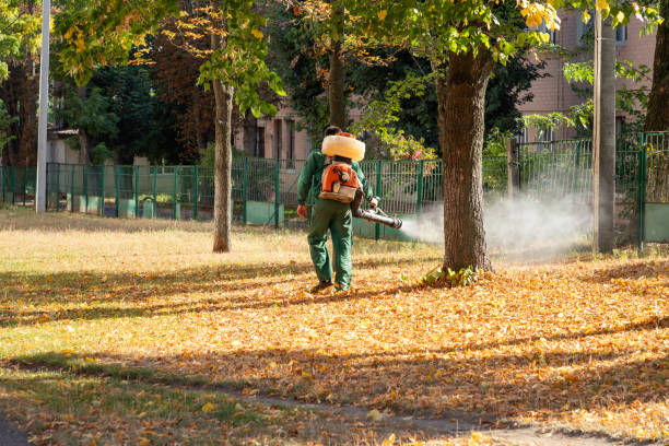 Best Local Pest Control Services  in Fruitland, MD